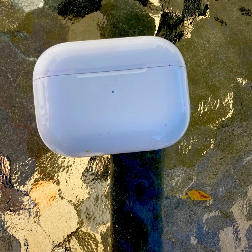 They are white AirPod pros